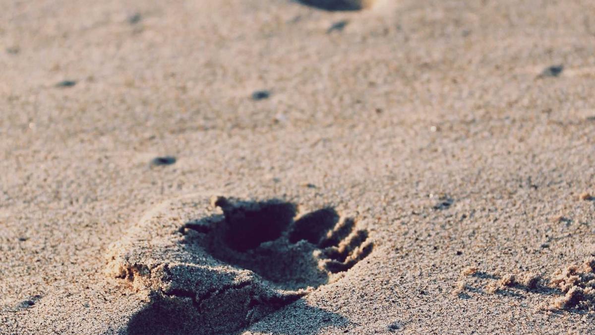 Selbstbraeuner streifenfrei auftragen: Anleitung